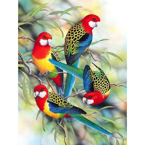 Diamond painting - Kleurrijke vogels